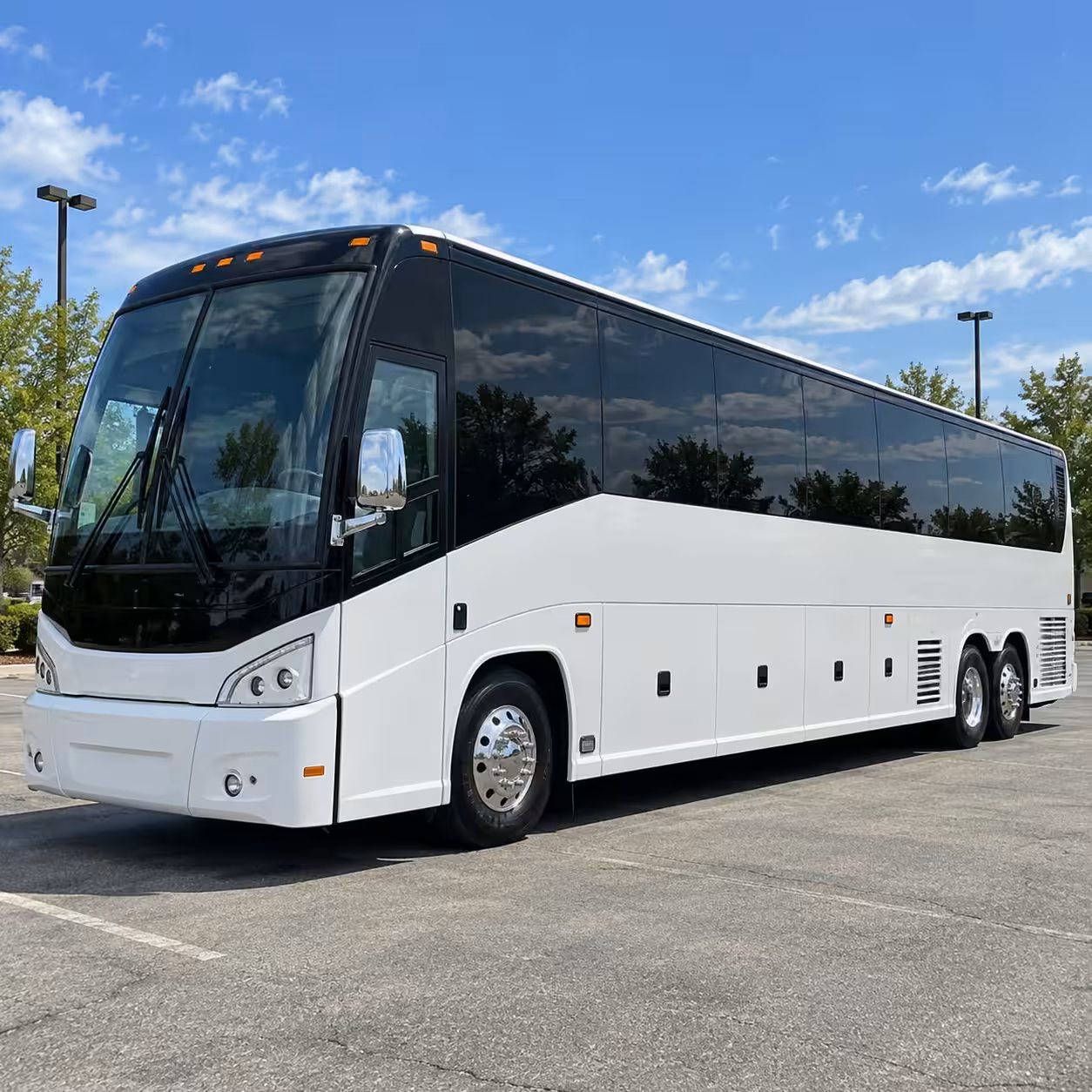 duluth prom homecoming transportation services