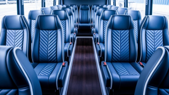 duluth 30 passenger minibus rental