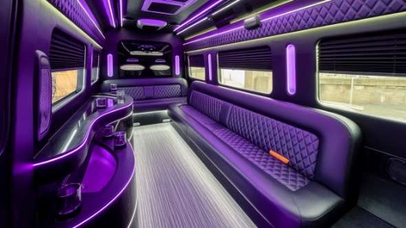 duluth party bus rental rental